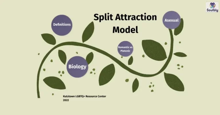 Split Attraction Model complete guide