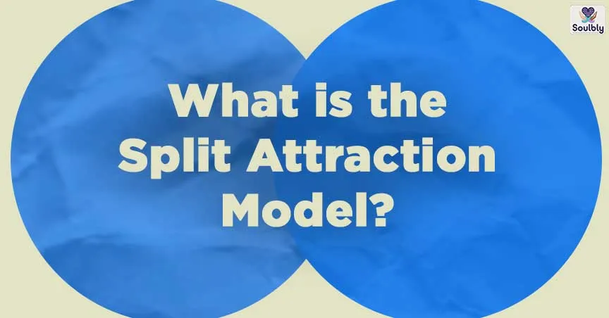 What is the Split Attraction Model?